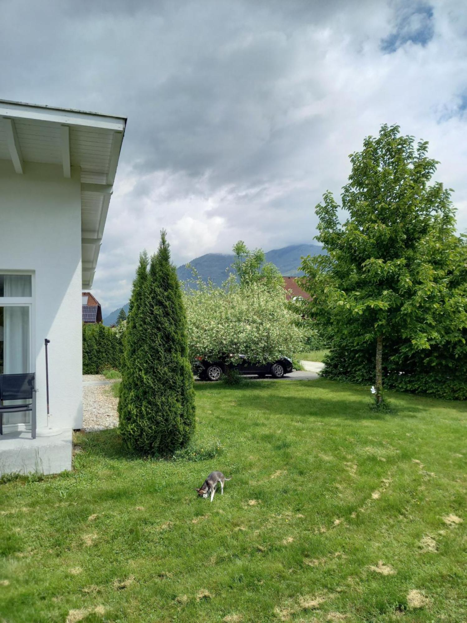 Flores, Ferienhaus Oder Doppelzimmer, Im Gruenen, 5 Gehminuten Ins Zentrum, Parkplatz, Zero Emissions 巴德伊舍 外观 照片